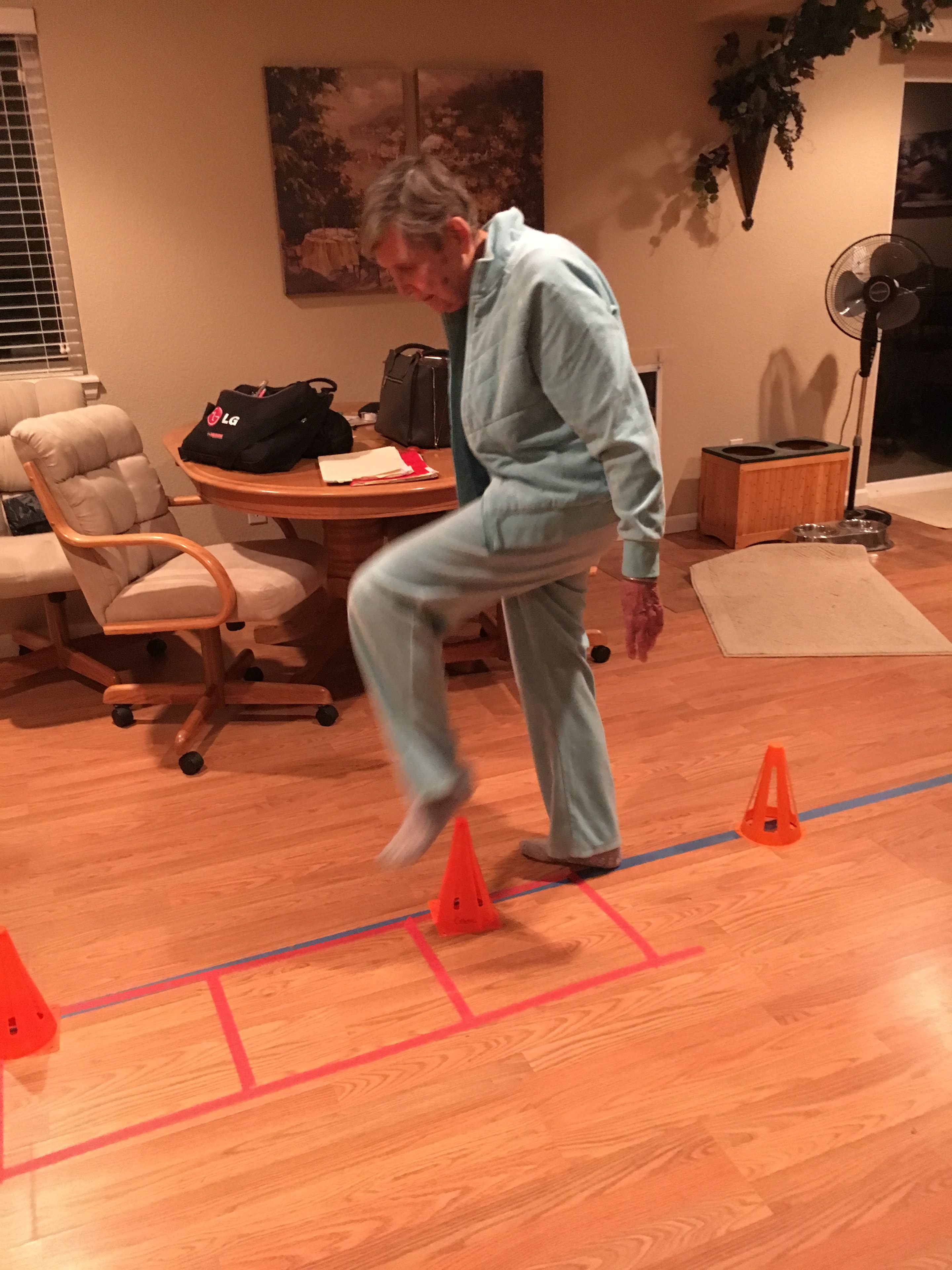 Client stepping over cones during agility training
